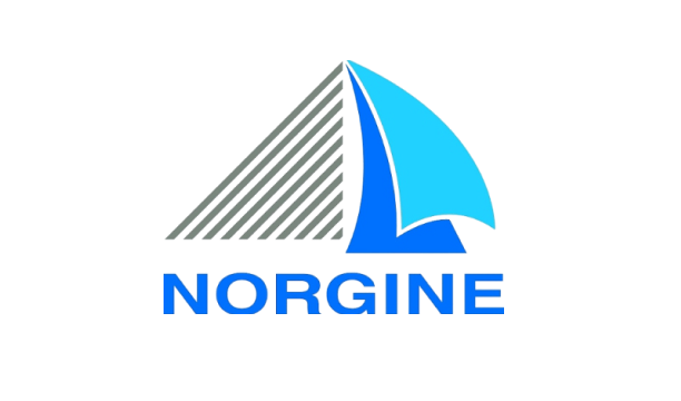 Norgine logo